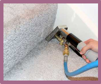 Professional Carpet Cleaners